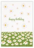 Happy birthday (daisy)